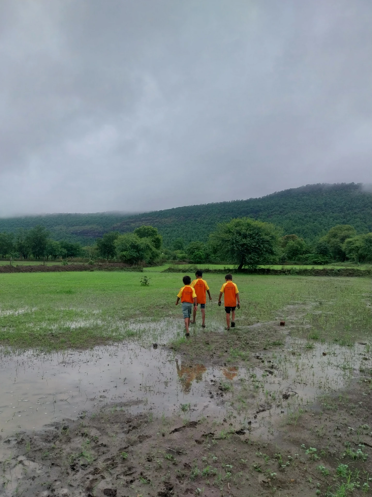 Life before academics: children in green fields