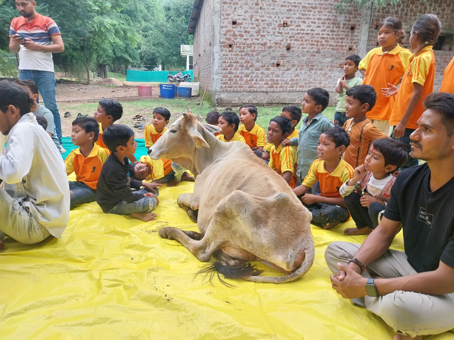 Children with native cow in campus gaushala